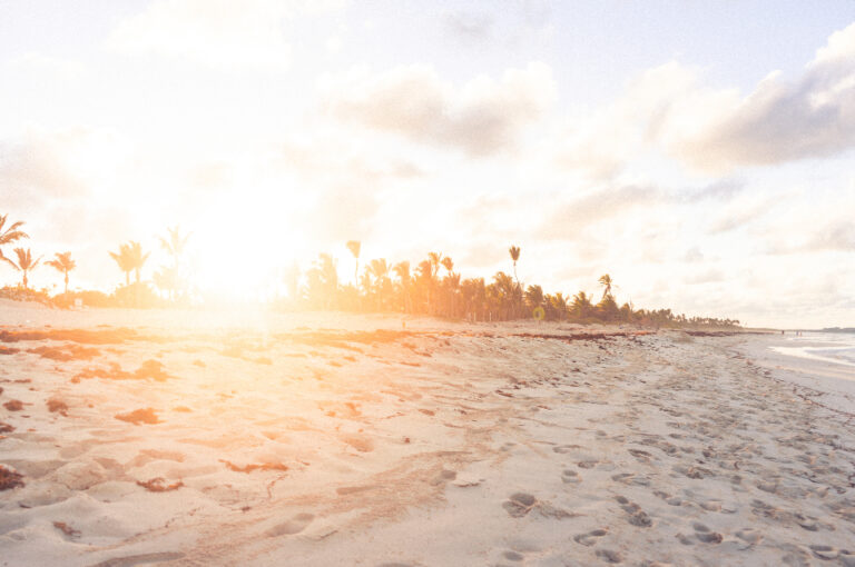 sun-nature