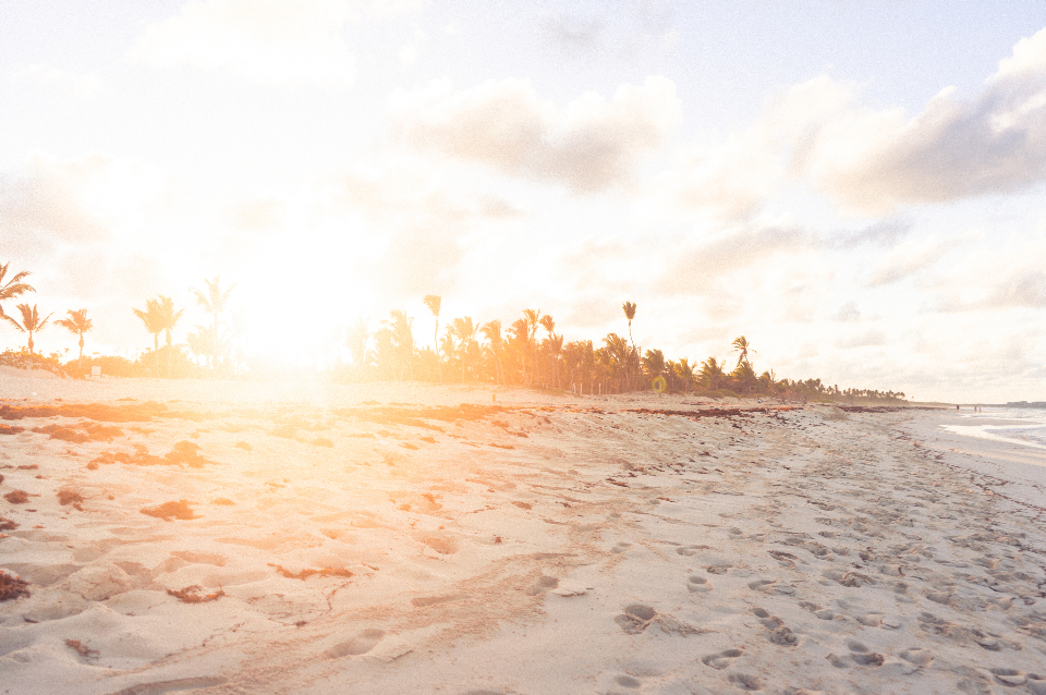 sun-nature