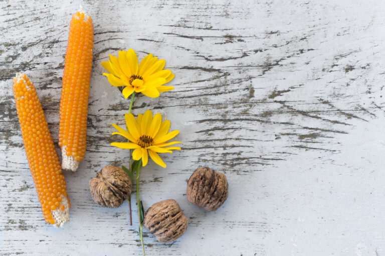 rustic-corn